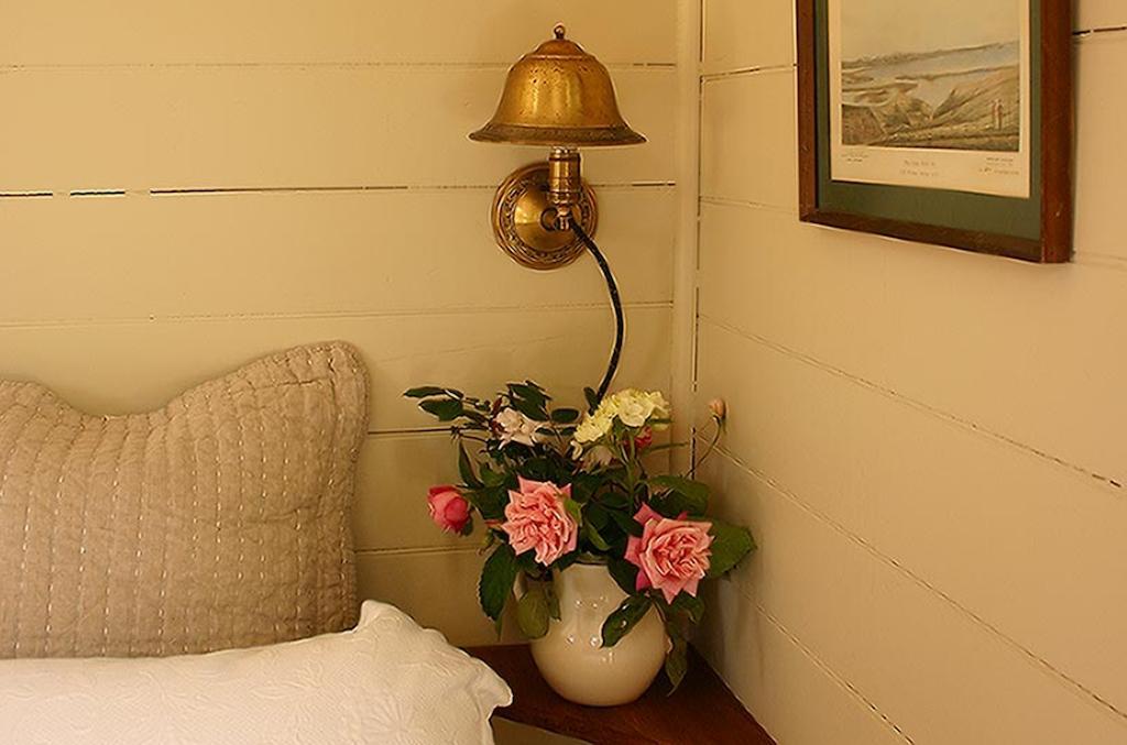 Bluff Hill Bed & Breakfast Napier Dış mekan fotoğraf